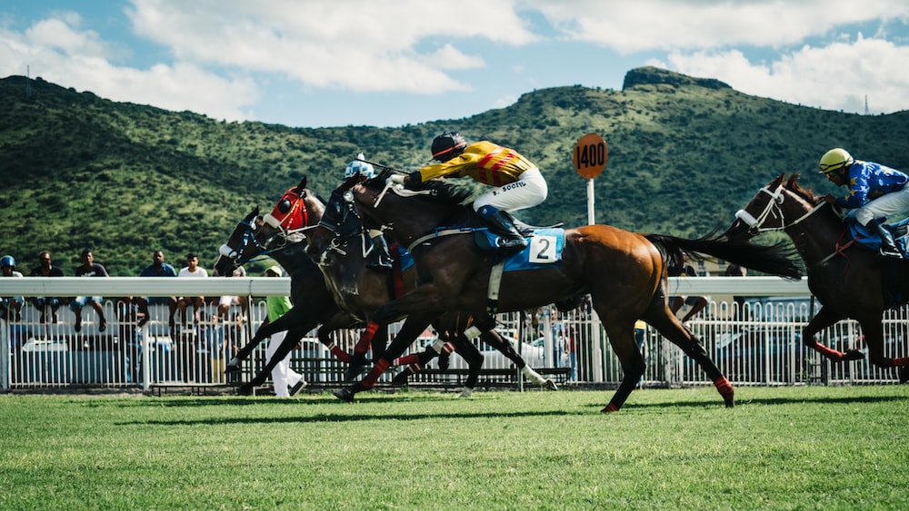 Best Bitcoin Sportsbooks for Betting on Horse Racing